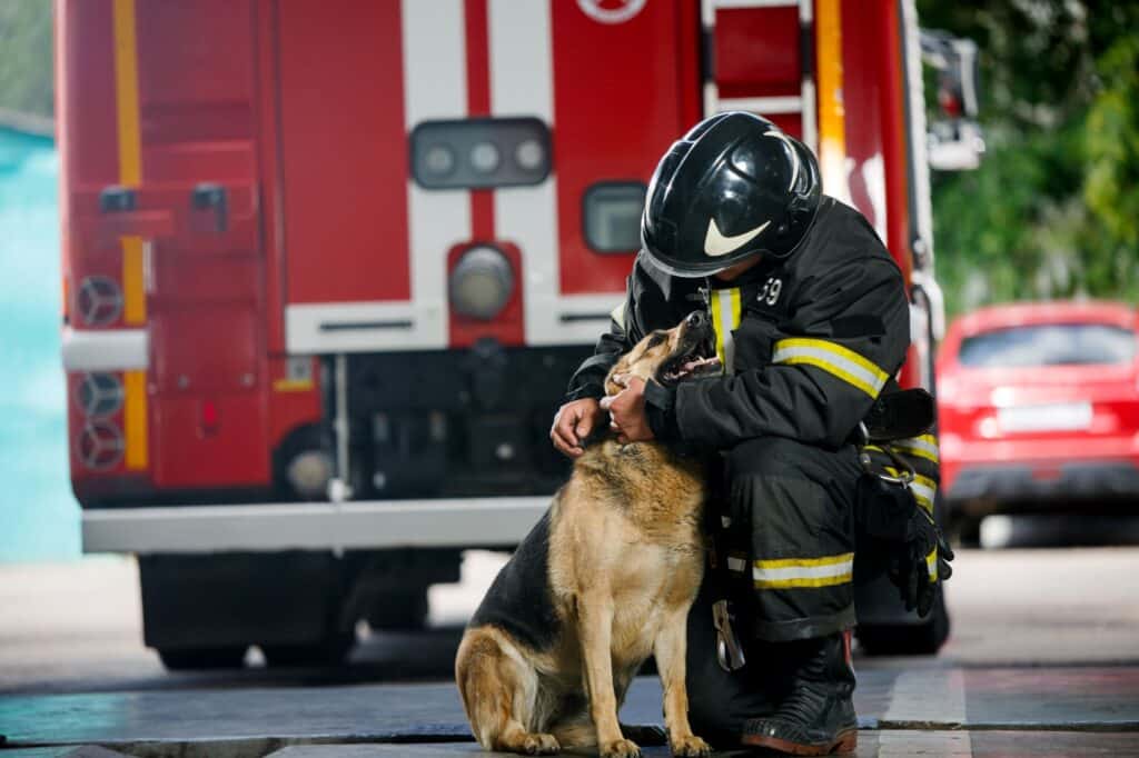 chiens de pompier